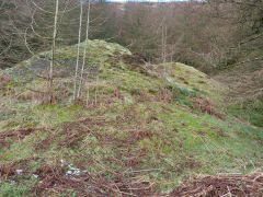 
Tips above Blaenrhondda Farm, February 2012